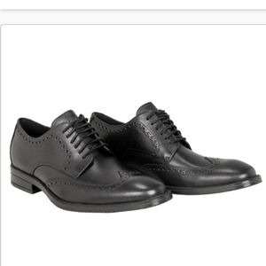 Cole Haan Men's 12 Modern Essentials Wing Oxford Shoe New In Box Waterproof